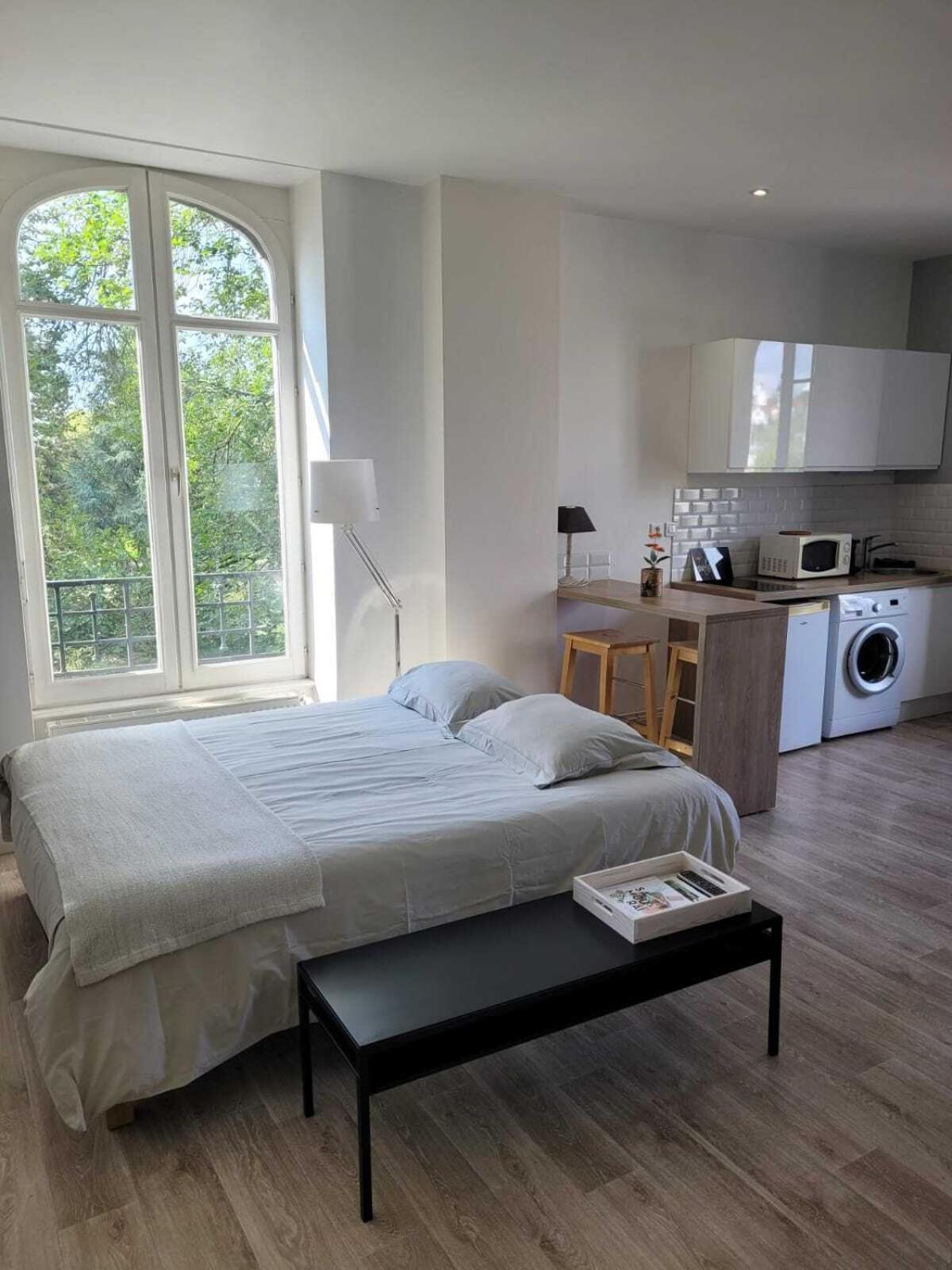 Appartment Les Suites Du Parc Безансон Номер фото
